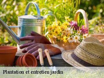 Plantation et entretien jardin