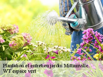 Plantation et entretien jardin mittainville-78125 WT espace vert
