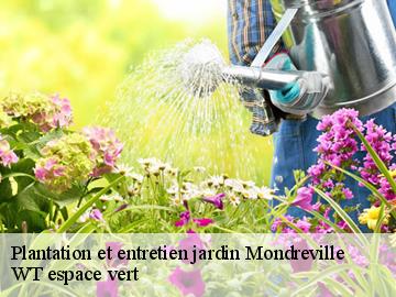 Plantation et entretien jardin mondreville-78980 WT espace vert