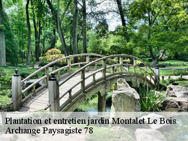 Plantation et entretien jardin  montalet-le-bois-78440 Archange Paysagiste 78