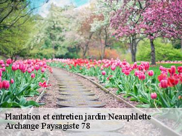 Plantation et entretien jardin  neauphlette-78980 Archange Paysagiste 78