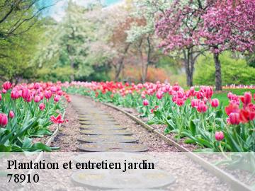Plantation et entretien jardin orgerus-78910 WT espace vert