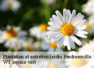 Plantation et entretien jardin perdreauville-78200 WT espace vert