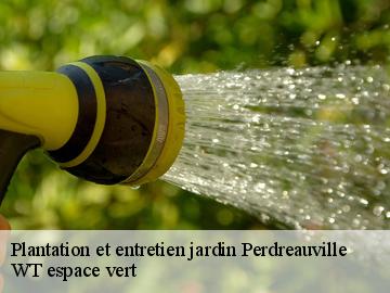 Plantation et entretien jardin perdreauville-78200 WT espace vert