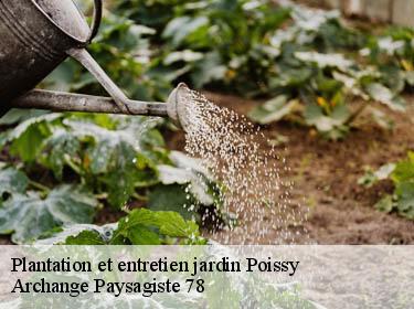 Plantation et entretien jardin  poissy-78300 Archange Paysagiste 78