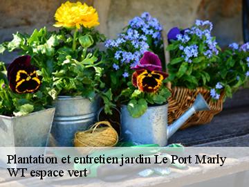 Plantation et entretien jardin le-port-marly-78560 WT espace vert