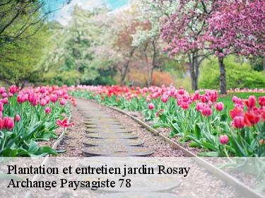 Plantation et entretien jardin  rosay-78790 Archange Elagage