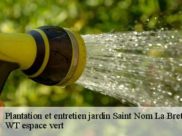 Plantation et entretien jardin  saint-nom-la-breteche-78860 Archange Paysagiste 78