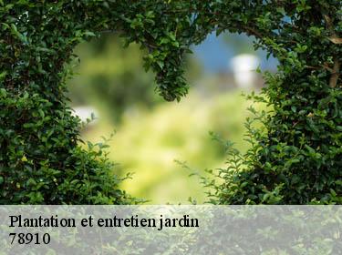 Plantation et entretien jardin tacoignieres-78910 WT espace vert