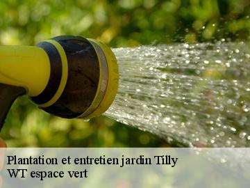Plantation et entretien jardin tilly-78790 WT espace vert