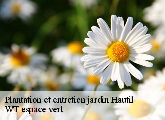 Plantation et entretien jardin hautil-78510 WT espace vert