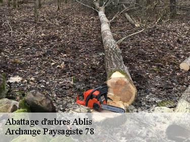 Abattage d'arbres  ablis-78660 Archange Paysagiste 78