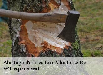 Abattage d'arbres les-alluets-le-roi-78580 WT espace vert