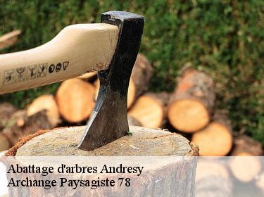 Abattage d'arbres  andresy-78570 Archange Paysagiste 78