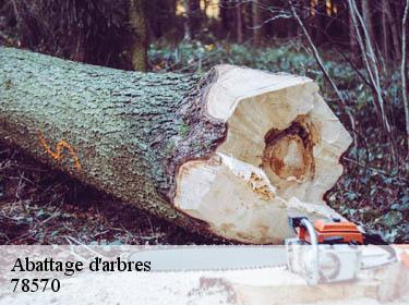 Abattage d'arbres  andresy-78570 Archange Paysagiste 78