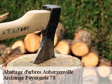 Abattage d'arbres  aubergenville-78410 Archange Paysagiste 78