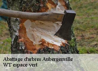 Abattage d'arbres aubergenville-78410 WT espace vert