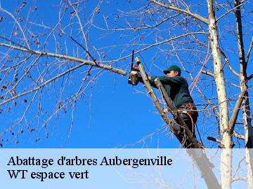 Abattage d'arbres aubergenville-78410 WT espace vert