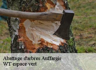 Abattage d'arbres auffargis-78610 WT espace vert