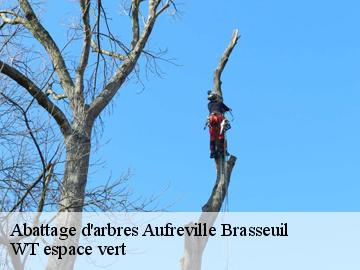 Abattage d'arbres aufreville-brasseuil-78930 WT espace vert