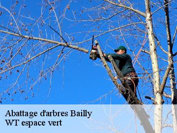 Abattage d'arbres bailly-78870 WT espace vert