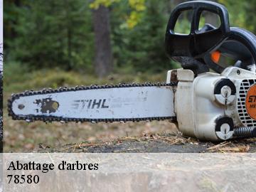Abattage d'arbres bazemont-78580 WT espace vert