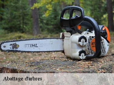 Abattage d'arbres  bazoches-sur-guyonne-78490 Archange Paysagiste 78