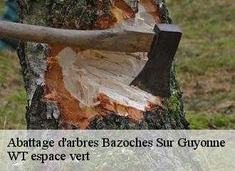 Abattage d'arbres bazoches-sur-guyonne-78490 WT espace vert