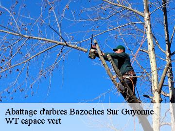 Abattage d'arbres bazoches-sur-guyonne-78490 WT espace vert