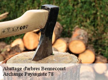 Abattage d'arbres  bennecourt-78270 Archange Paysagiste 78