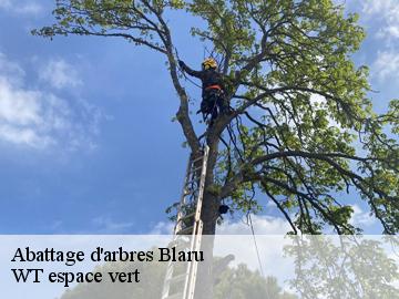 Abattage d'arbres blaru-78270 WT espace vert