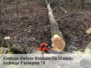 Abattage d'arbres  boinville-en-mantois-78930 Archange Paysagiste 78