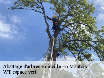 Abattage d'arbres boinville-en-mantois-78930 WT espace vert