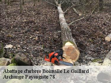 Abattage d'arbres  boinville-le-gaillard-78660 Archange Paysagiste 78