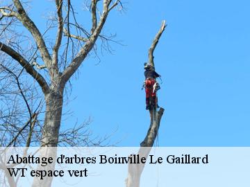 Abattage d'arbres boinville-le-gaillard-78660 WT espace vert