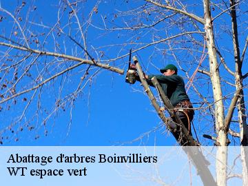 Abattage d'arbres boinvilliers-78200 WT espace vert