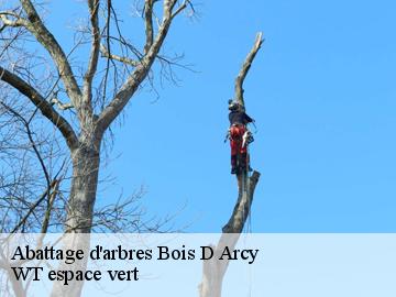Abattage d'arbres bois-d-arcy-78390 WT espace vert