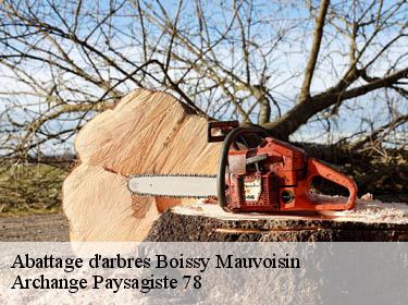 Abattage d'arbres  boissy-mauvoisin-78200 Archange Paysagiste 78