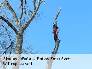 Abattage d'arbres boissy-sans-avoir-78490 WT espace vert