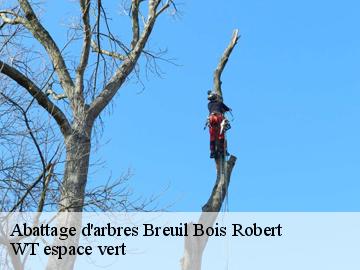 Abattage d'arbres  breuil-bois-robert-78930 WT espace vert 