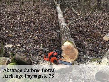 Abattage d'arbres  breval-78980 Archange Paysagiste 78