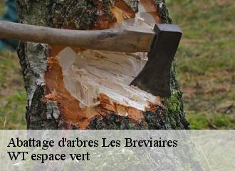 Abattage d'arbres les-breviaires-78610 WT espace vert
