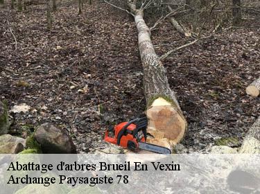 Abattage d'arbres  brueil-en-vexin-78440 Archange Paysagiste 78