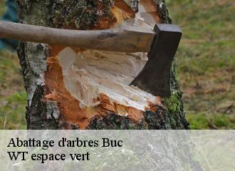 Abattage d'arbres buc-78530 WT espace vert