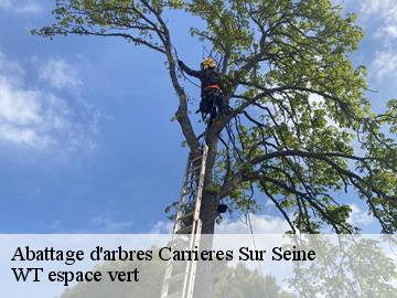 Abattage d'arbres carrieres-sur-seine-78420 WT espace vert
