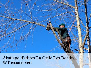 Abattage d'arbres  la-celle-les-bordes-78720 WT espace vert 