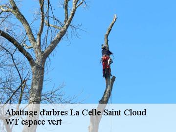 Abattage d'arbres la-celle-saint-cloud-78170 WT espace vert