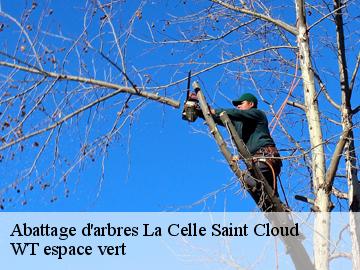 Abattage d'arbres la-celle-saint-cloud-78170 WT espace vert