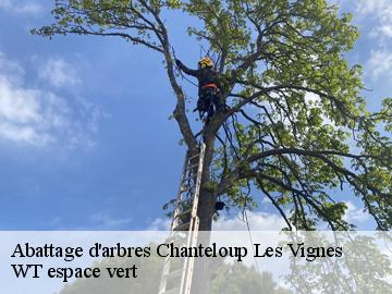 Abattage d'arbres chanteloup-les-vignes-78570 WT espace vert