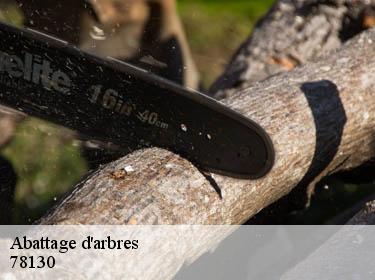 Abattage d'arbres  chapet-78130 Archange Elagage
